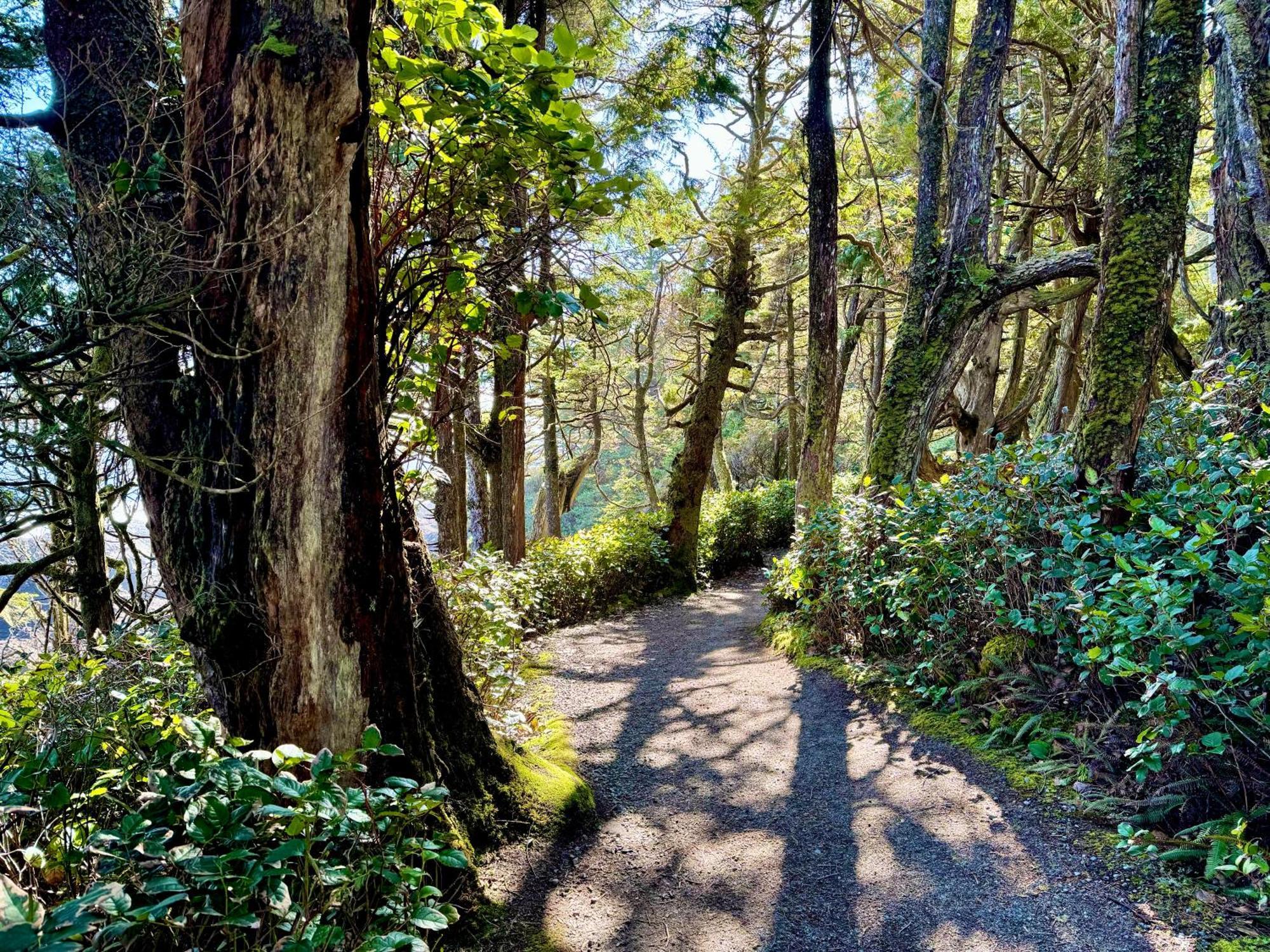 Black Rock Landing Ucluelet Exterior foto
